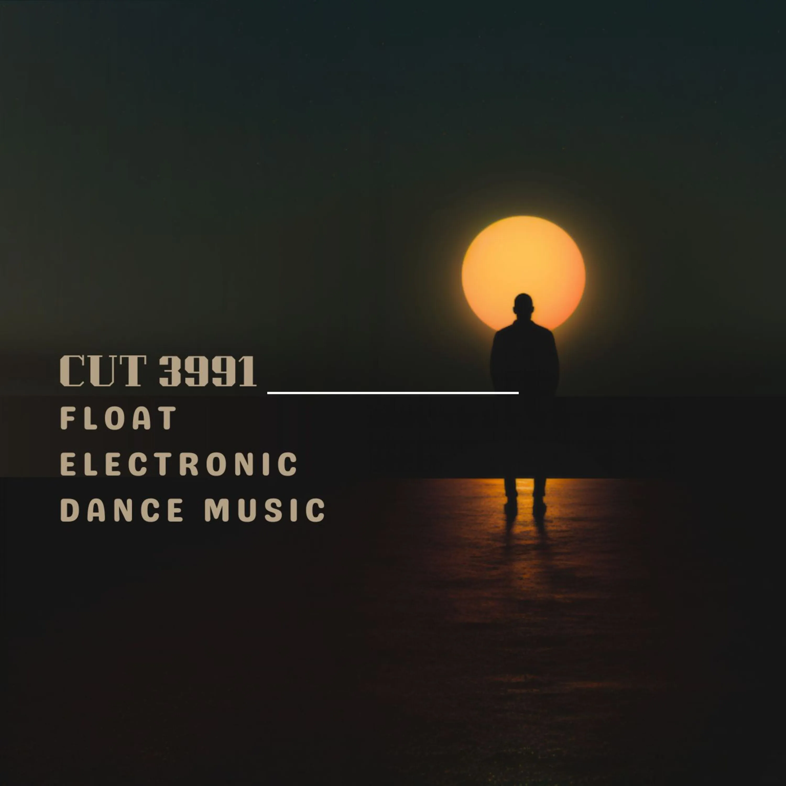 Artist Name - Album Title